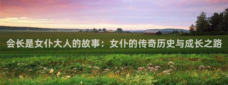 包子漫画破解版最新版：会长是女仆大人的故事：女仆的传奇历史与成长之路